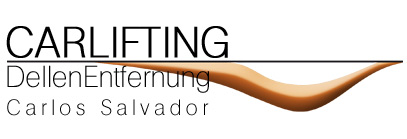 Carlifting - Dellenmaster